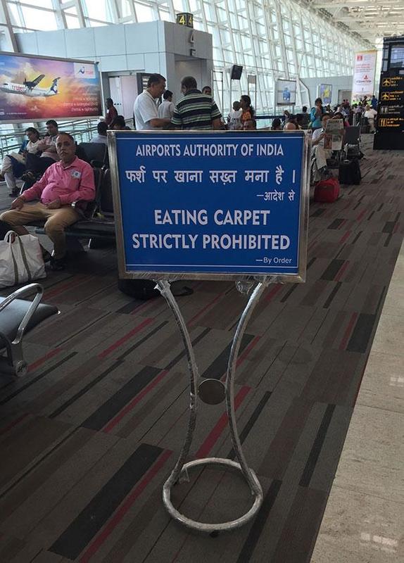 Please Don’t Eat the Carpet